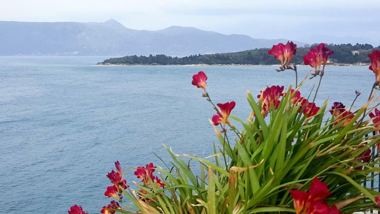 Roof Garden House Apartment Corfu  Екстериор снимка